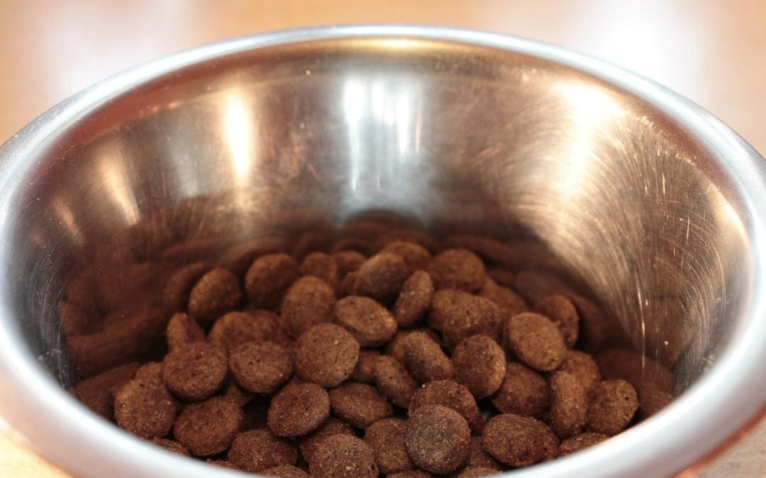 Questions To Ask A Pet Food Company